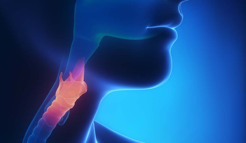 CPT for ENTs American Academy of OtolaryngologyHead and Neck Surgery
