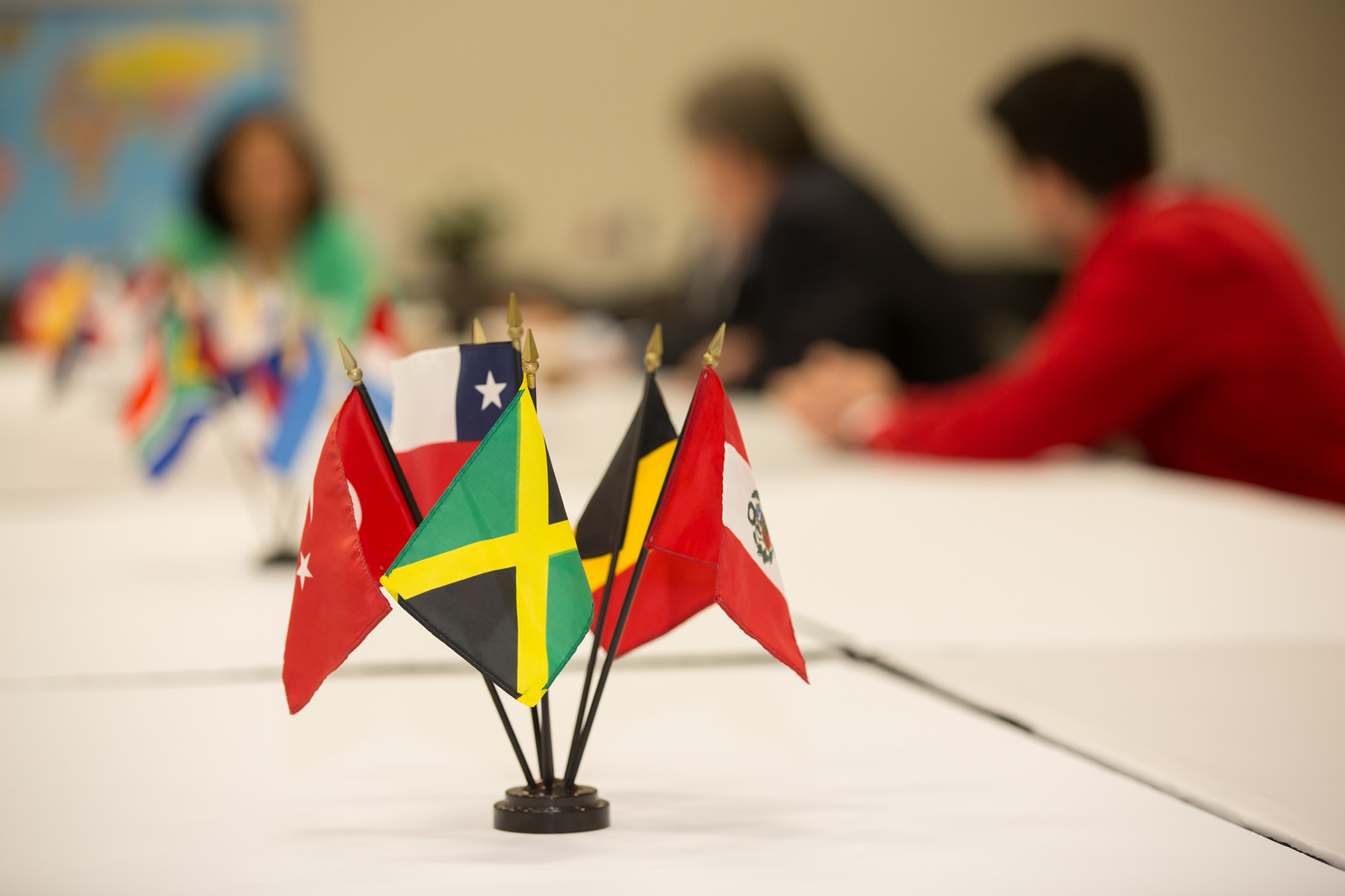 International Outreach American Academy of