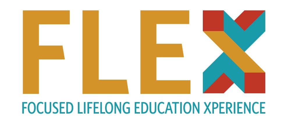 FLEX logo