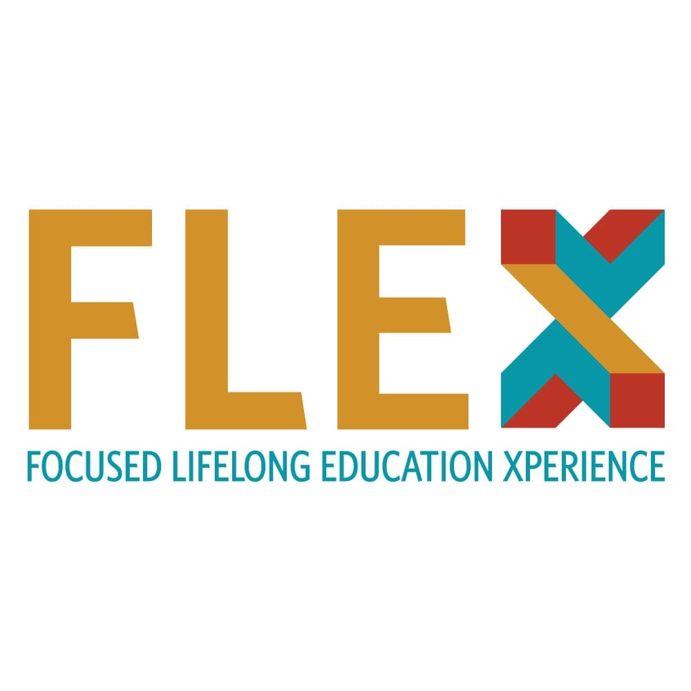 FLEX logo