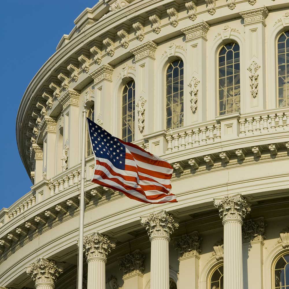 close up photograph of the U.S. Capitol dome