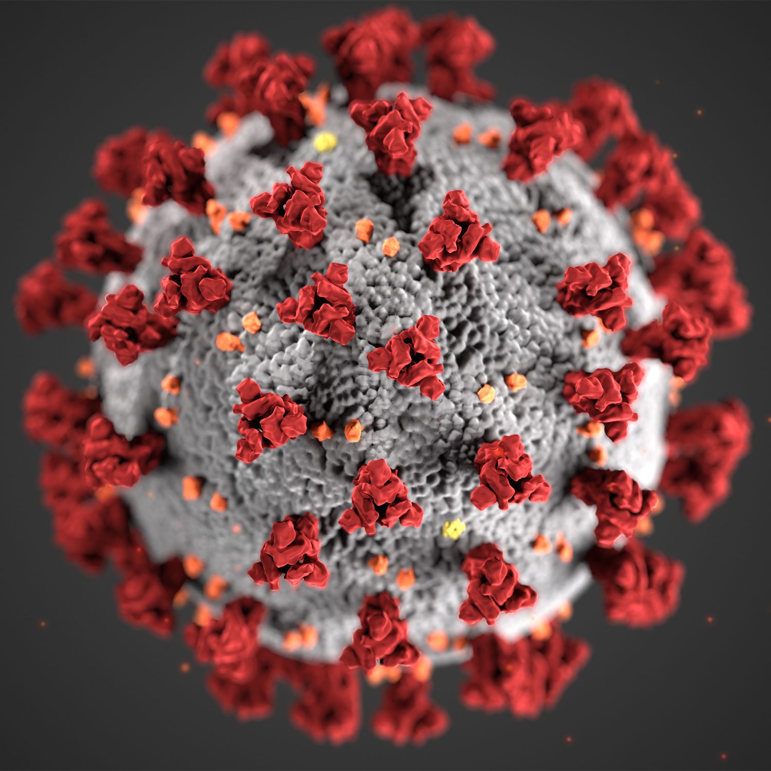 Microscopic photo of COVID-19 virus