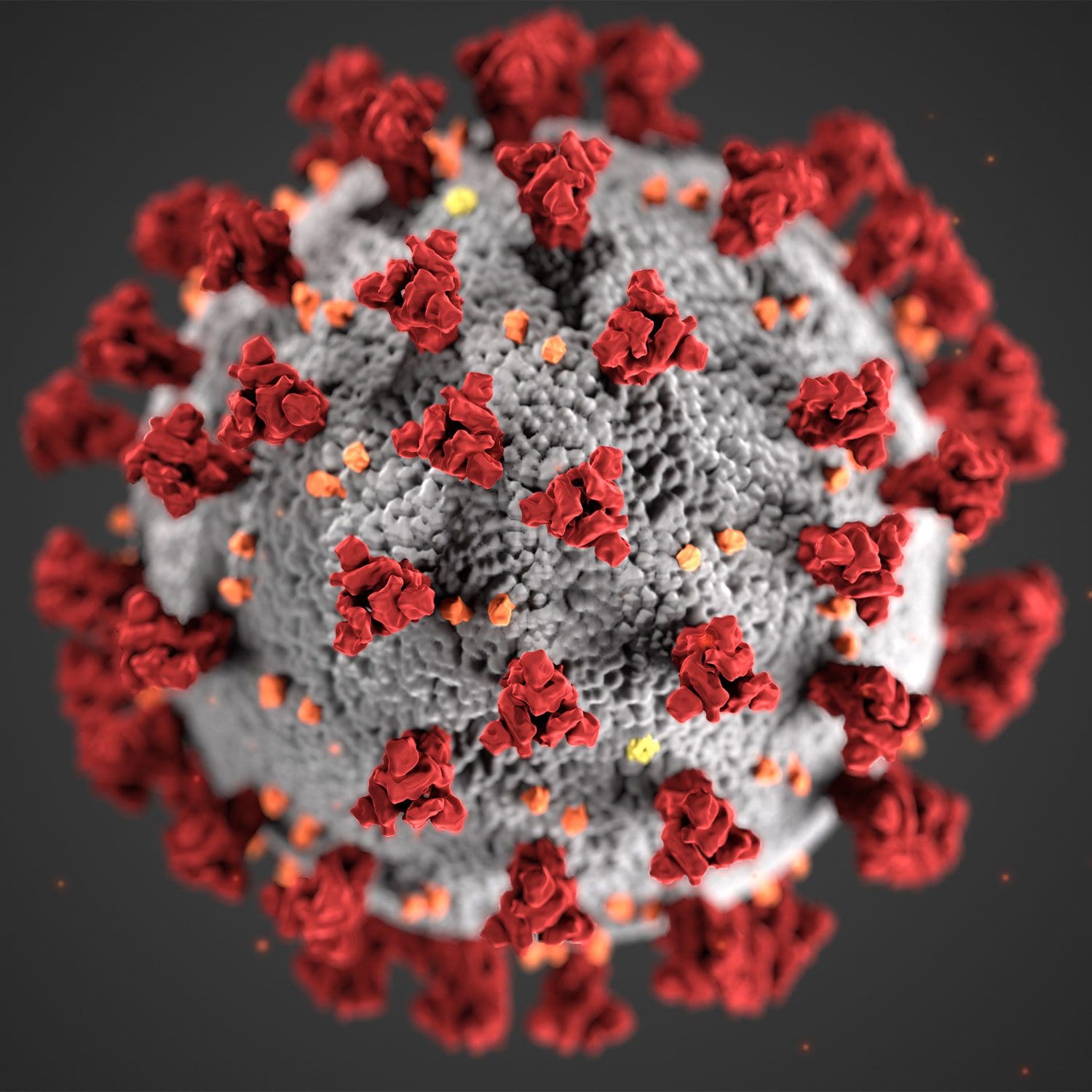 Microscopic photo of COVID-19 virus