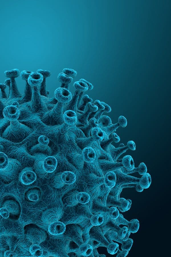 Covid Virus